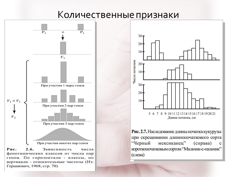 Количественные признаки